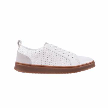 SD7005  White Sneaker for Men